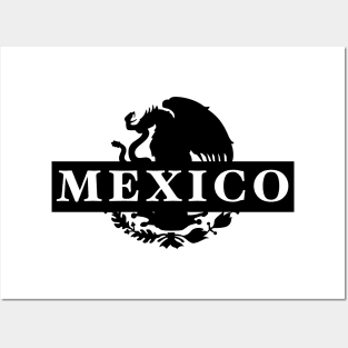 Mexican flag Posters and Art